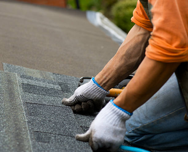 Best Roof Gutter Cleaning  in Amherst, WI